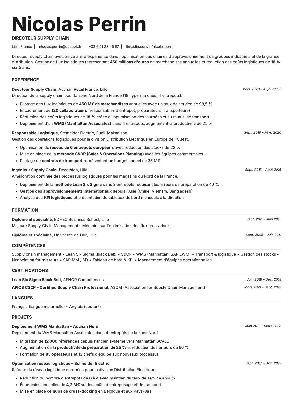 Platinum resume template preview