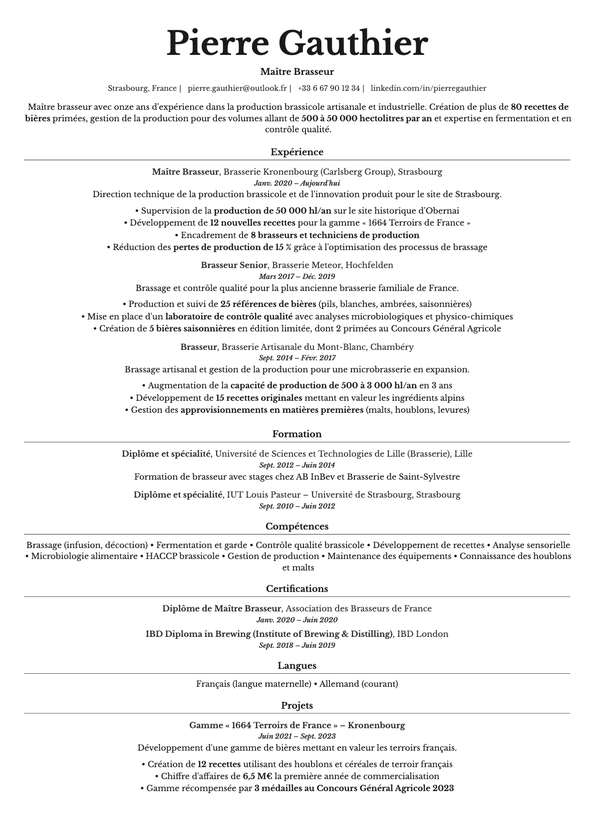 Topaz resume template preview