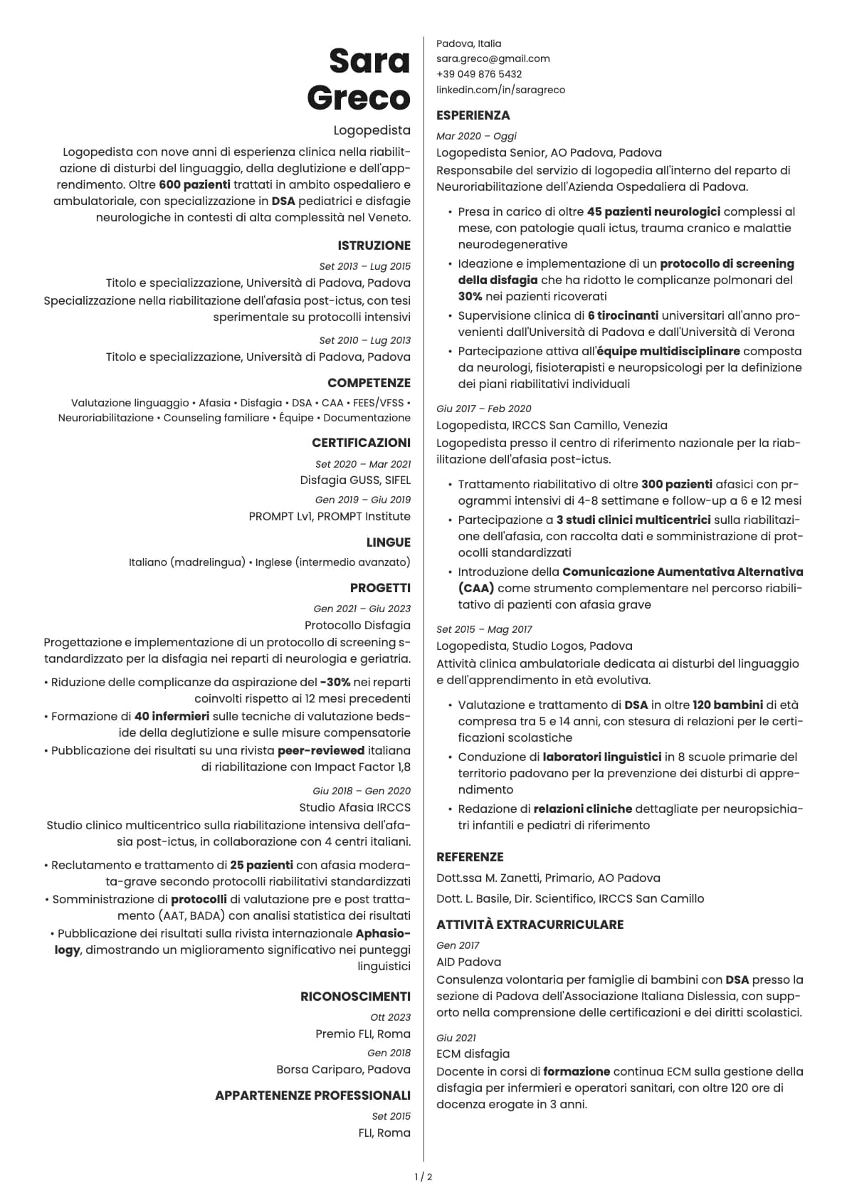 Amber resume template preview