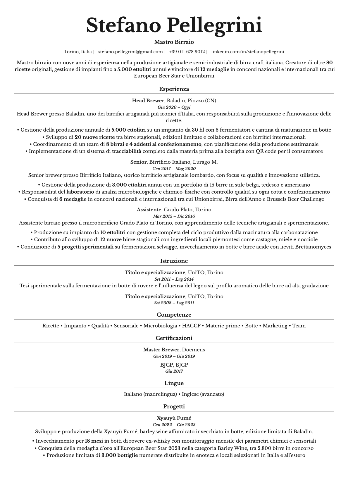 Topaz resume template preview