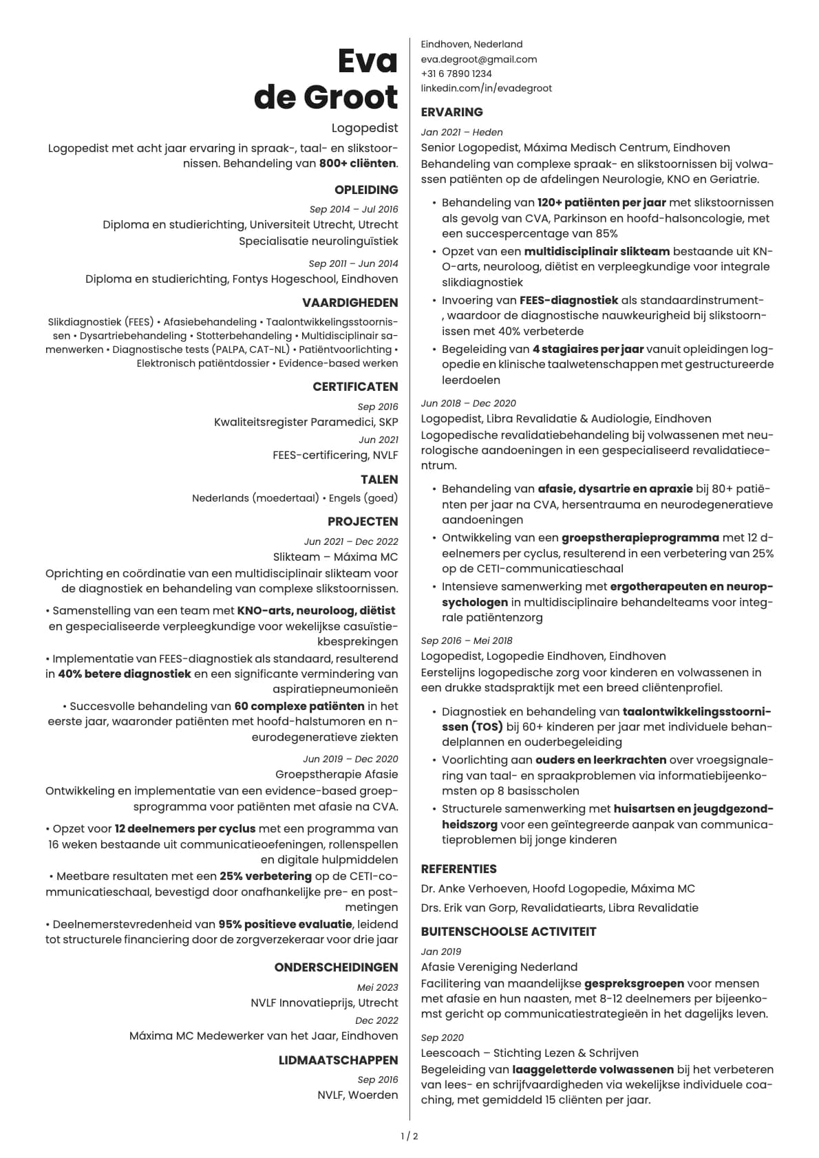 Amber resume template preview