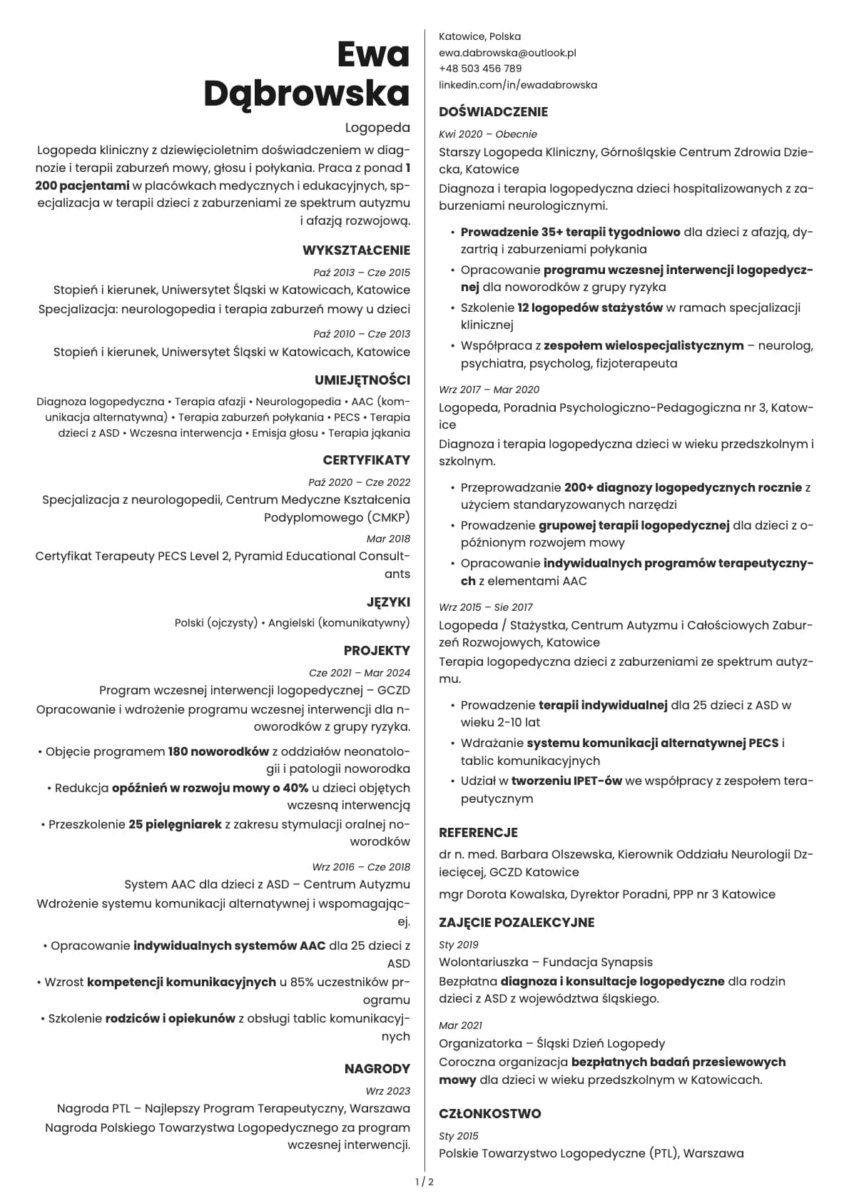Amber resume template preview