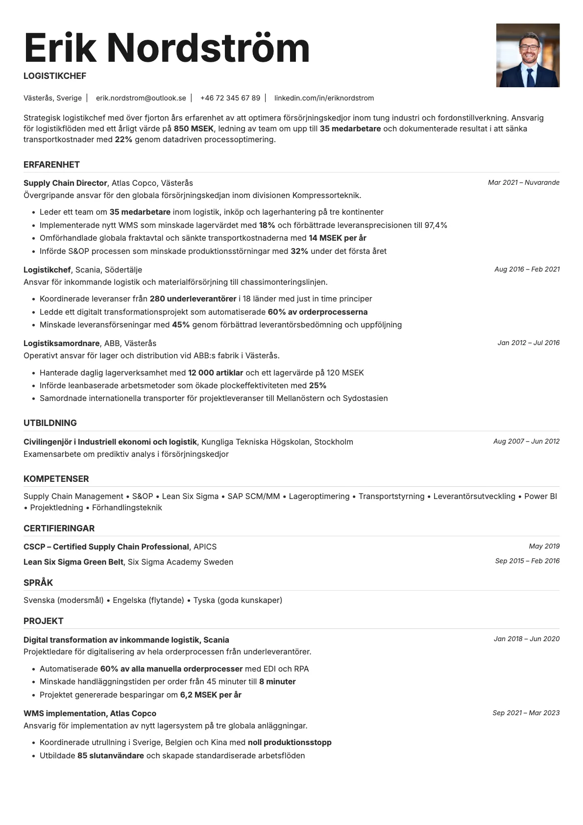 Platinum Photo resume template preview