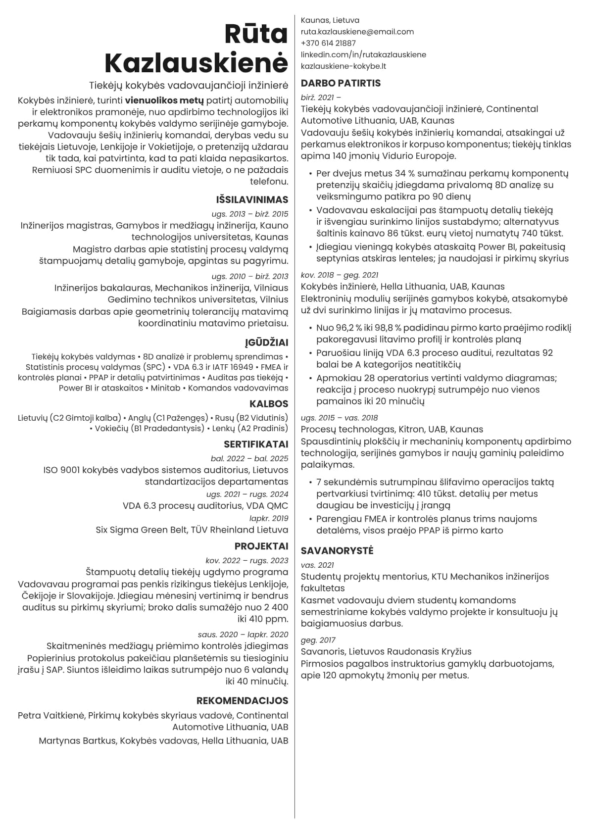 Amber resume template preview