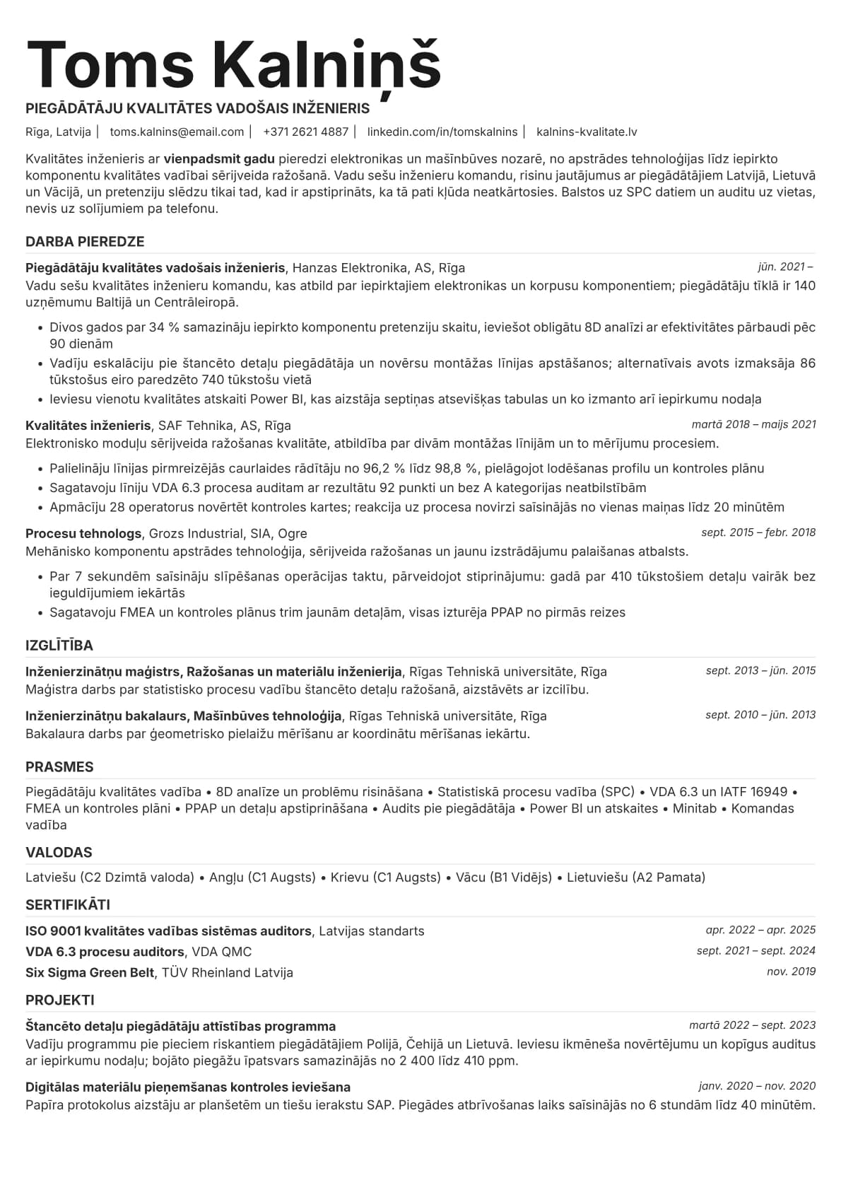 Platinum resume template preview