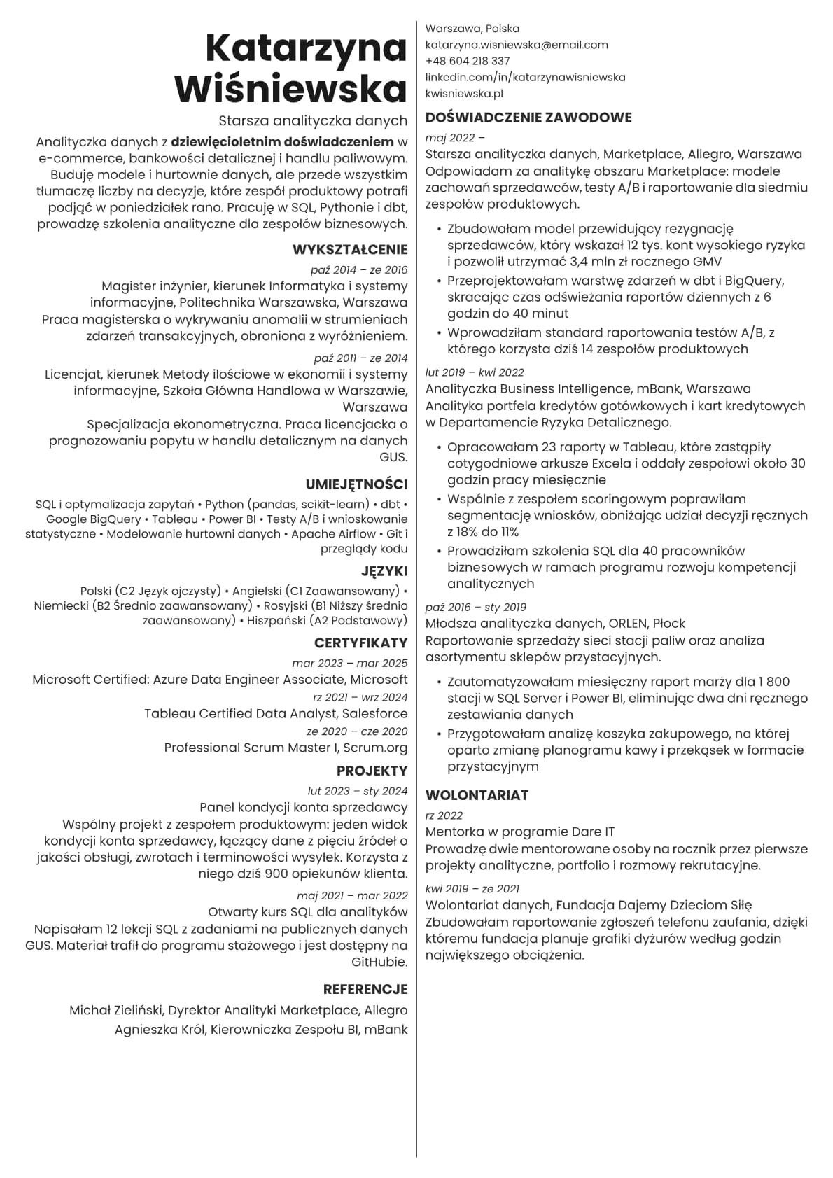 Amber resume template preview