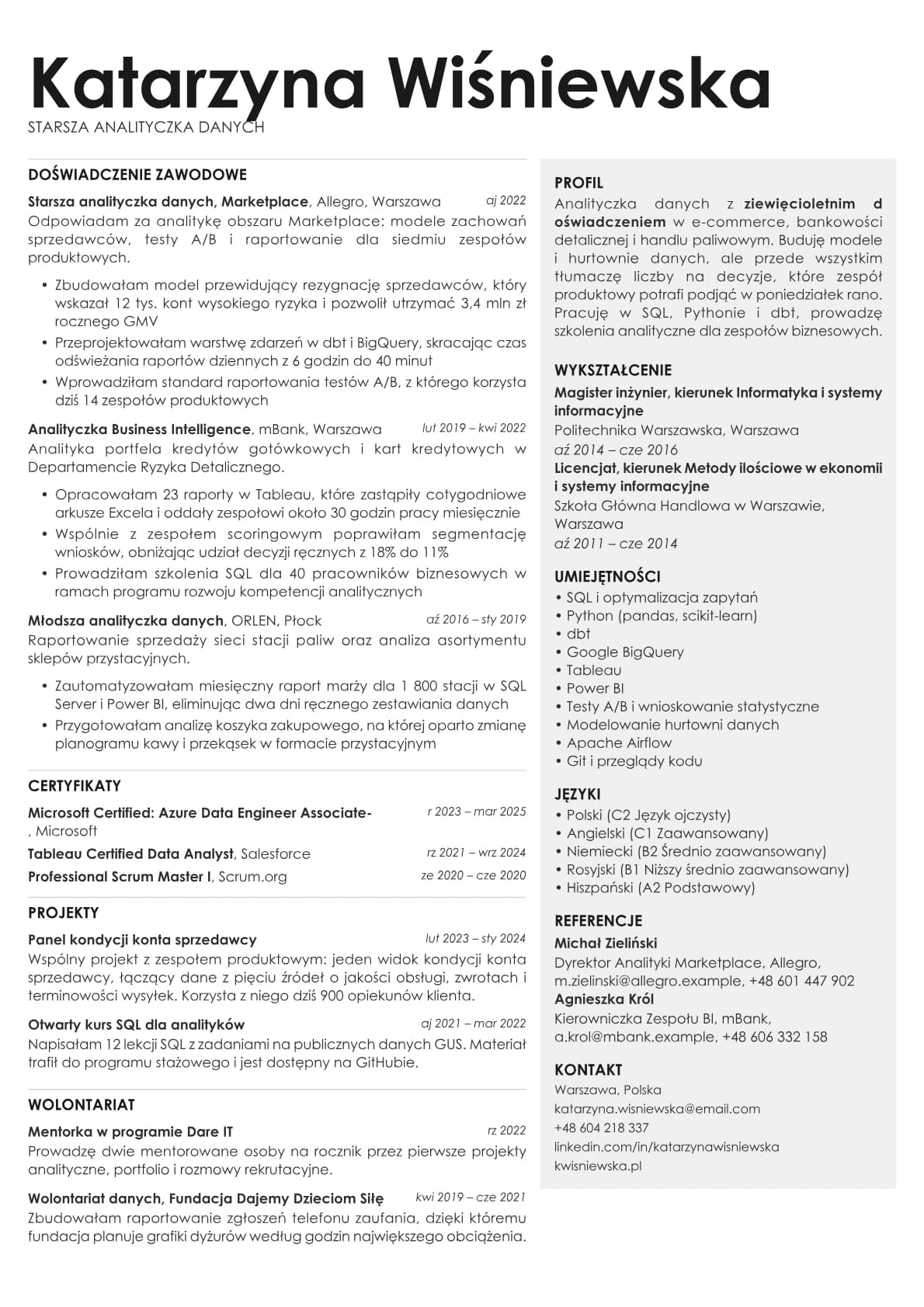 Bronze resume template preview